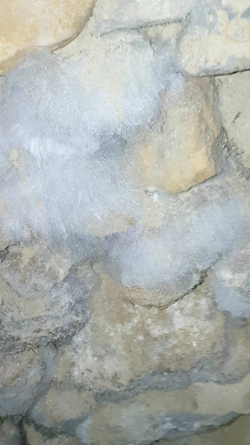 sels minéraux - diagnostic humidité